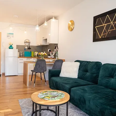 Apartament Alina Apartament *